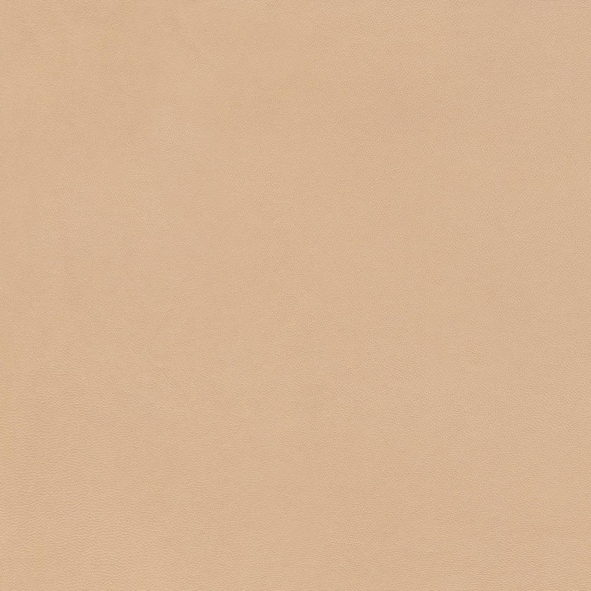 Agneau Beige