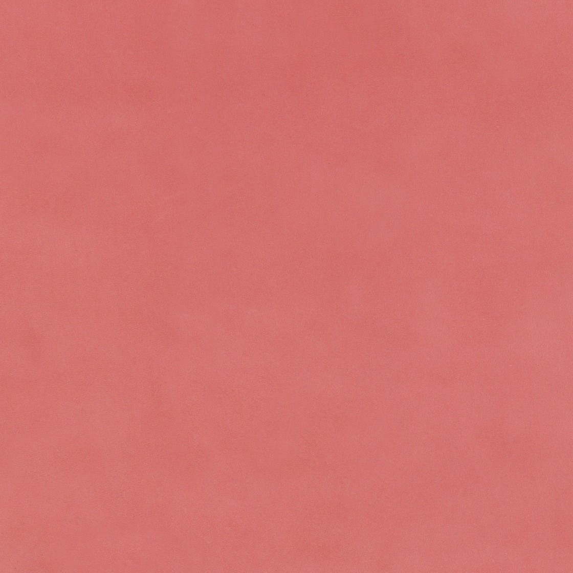 Bucksoft 10/12