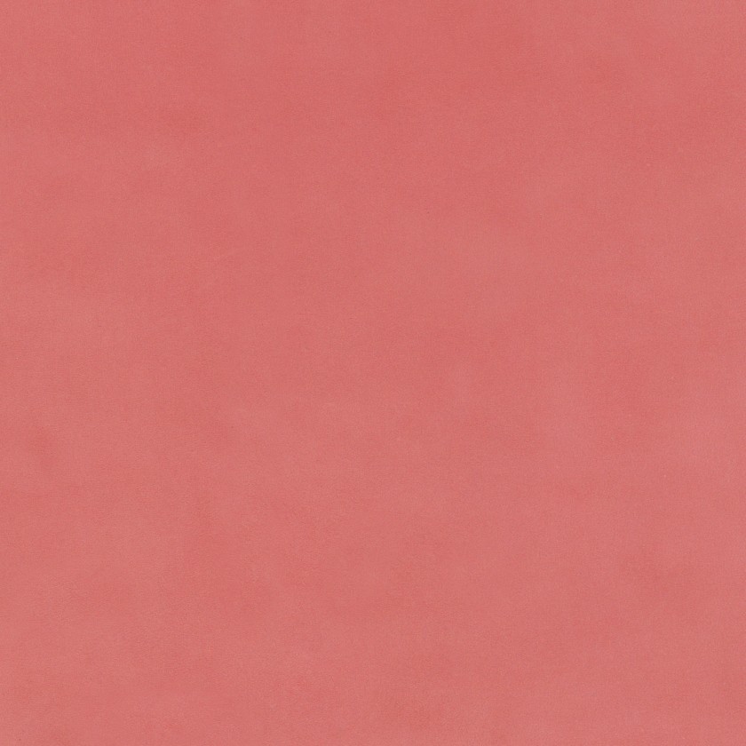 Bucksoft Mandarine