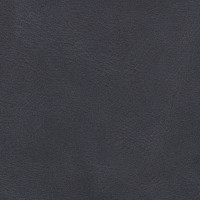 Cirrus Noir