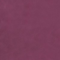 Cirrus Prune
