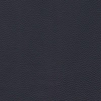 Granit Indigo