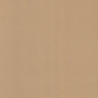 Microvelours Beige