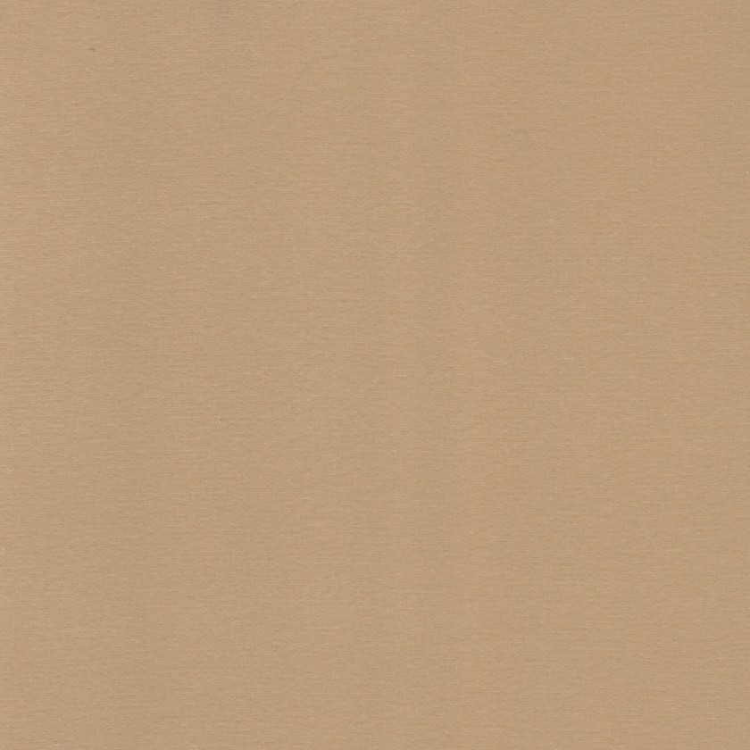 Microvelours Beige