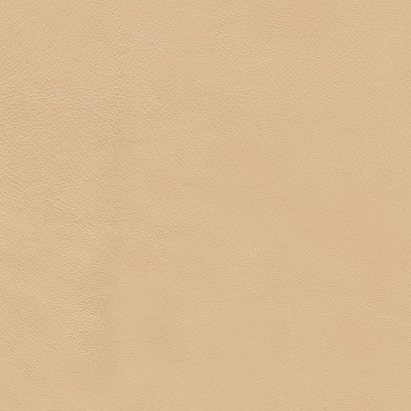 Porc fleur souple Sahara