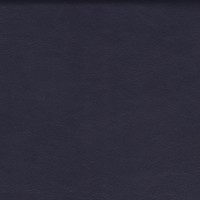 Caresse-navy