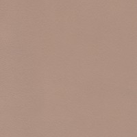 Agnosoft-Beige