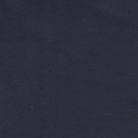 Antares-Navy
