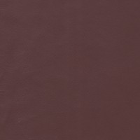Antares-Noisette