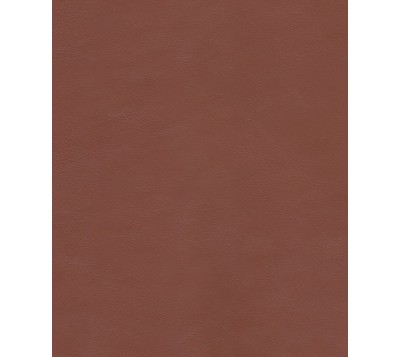 NAPPALINE 11/13 CARAMEL LOT