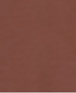 NAPPALINE 11/13 CARAMEL LOT