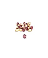 ŒILLET P5 ŒILLET P5