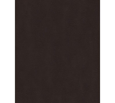 MICRONUBUCK 2,0mm