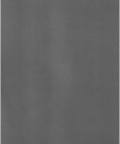 MICROLEAD