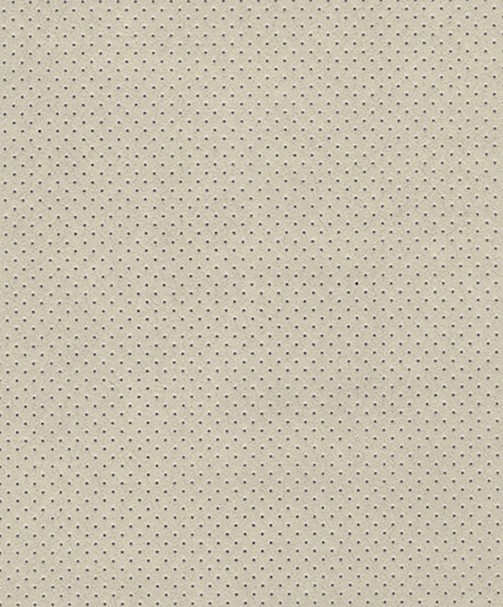MICROPORE PERFORE SUR MOUSSE
