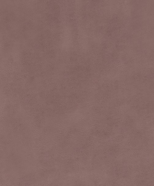 CIRRUS 12/14 CIRRUS 12/14