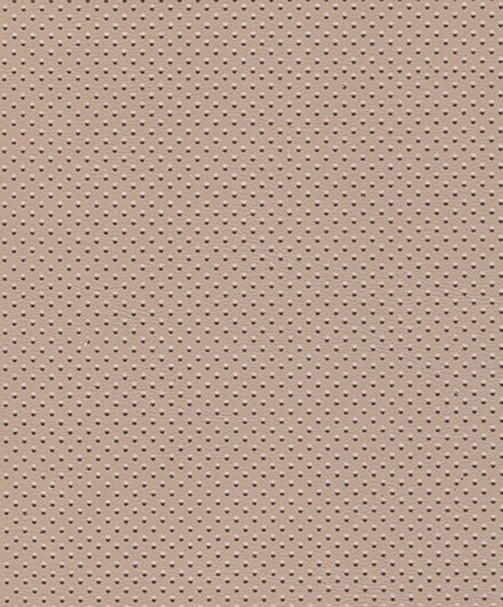 CARESSE 09/11 BEIGE PERFORE CARESSE 09/11 BEIGE PERFORE