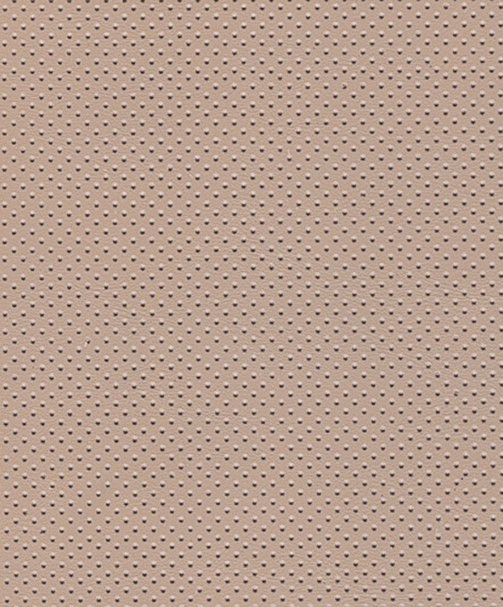 CARESSE 09/11 BEIGE PERFORE