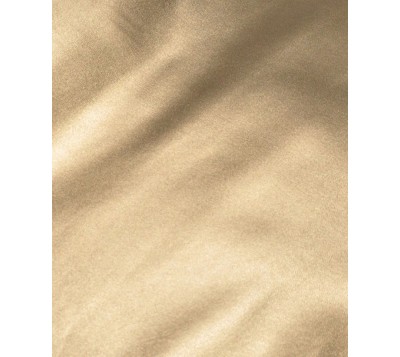 CHEVRE METAL 06/08 Bronze