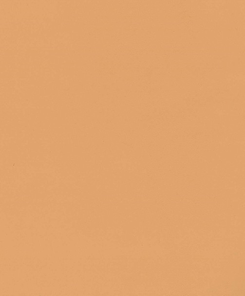 AGNOSWEET 06/08 BEIGE